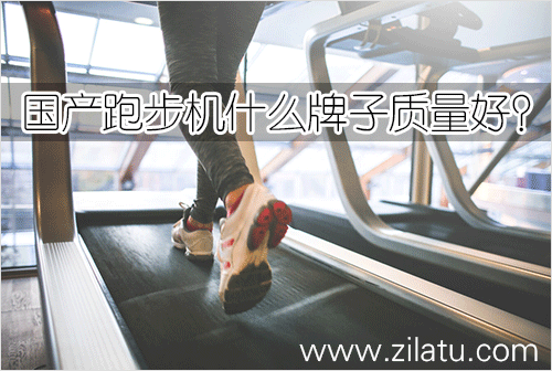 问鼎娱乐 国产跑步机什么牌子质量好？国产大品牌质量好的家用跑步机推荐！