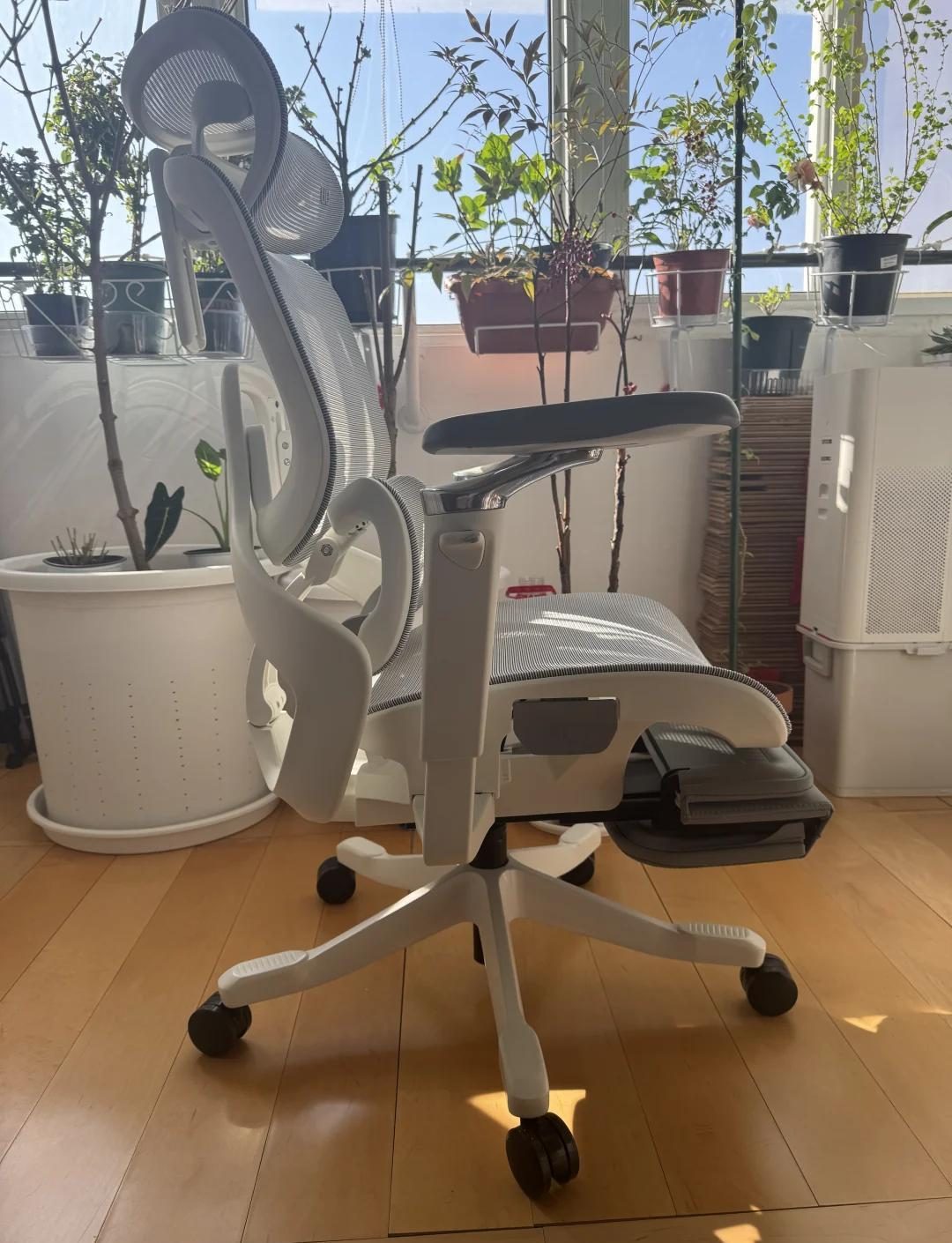 人体工学椅选购指南_舒适护腰重要性_健身椅使用方法视频