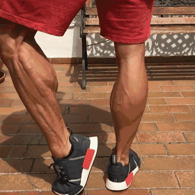 判断肌肉腿脂肪腿水肿腿_瘦小腿不同类型方法_瘦的人血脂高是什么原因