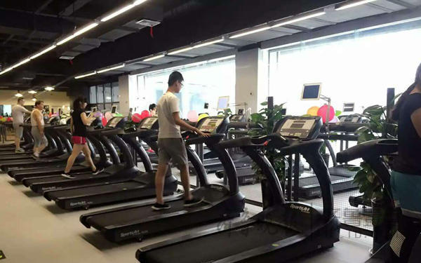 启领绿色健身理念_SportsArt时保雅临沂健身俱乐部_sportsart fitness单车