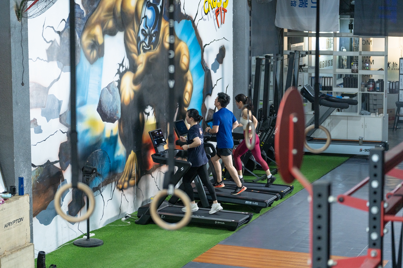 易跑M5评测_家用跑步机什么牌子的好_3000-4000元跑步机对比