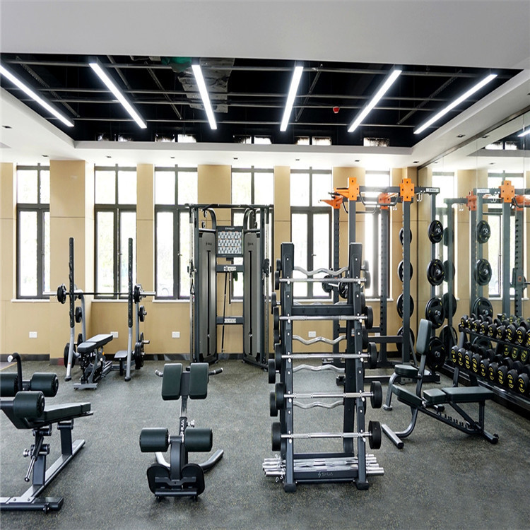 实地厂家健身房健身器材,健身房力量型健身器材,二头肌训练器,