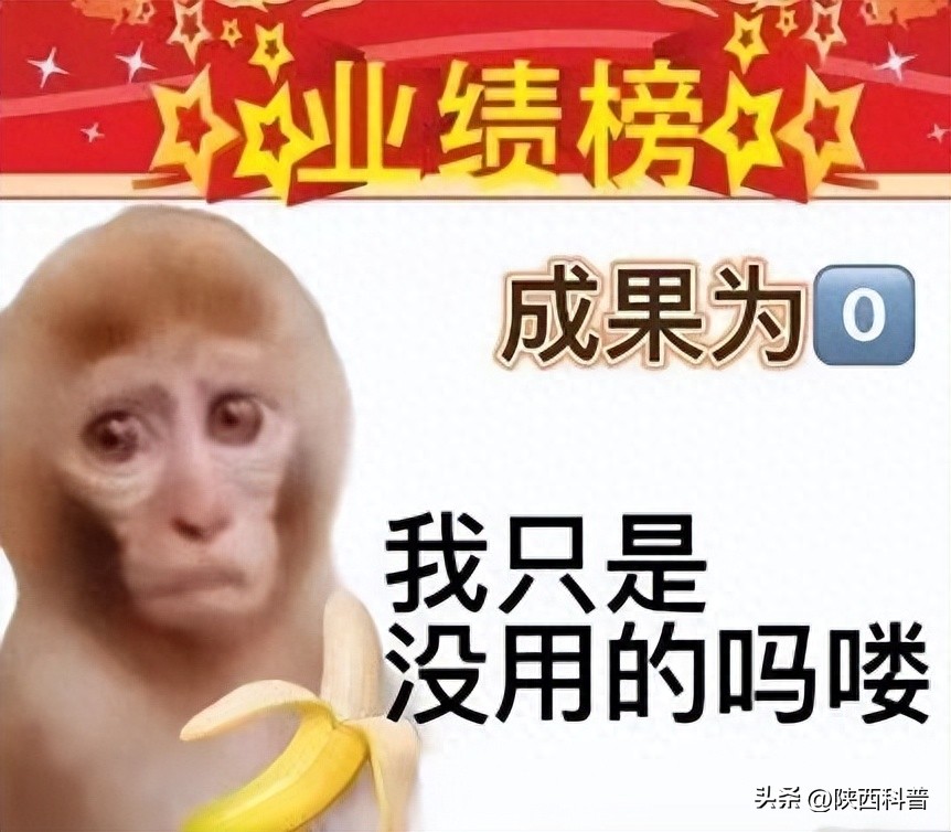 如何去除法令纹_电波拉皮除皱做几次能除皱_法令纹形成原因