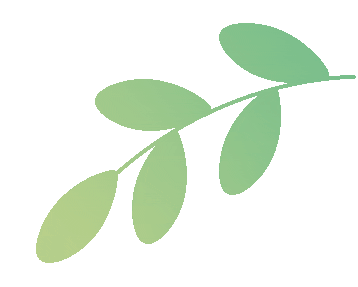 bowflex中国_搏飞BowFlex创新健身产品国内市场发布_乔山集团收购搏飞BowFlex战略布局