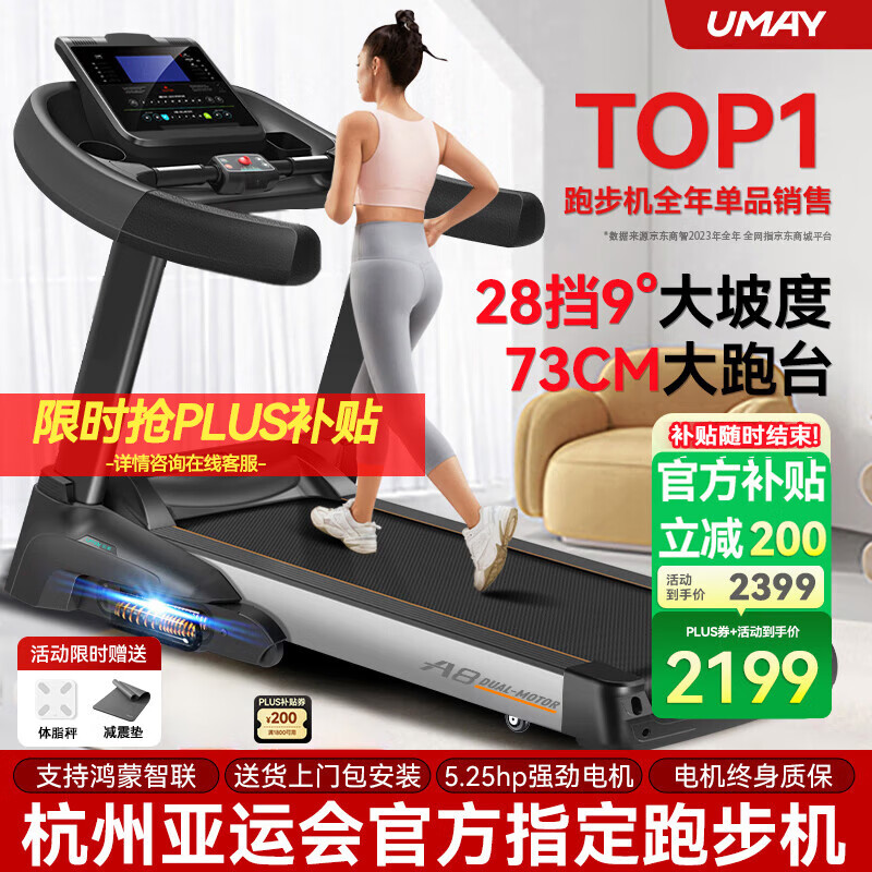 跑步机十大名牌排行榜_十大名牌跑步机测评_国产跑步机十大名牌 品牌哪个