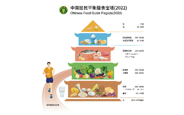 脂肪主要食物来源_脂肪主要来源于_脂肪来源构成