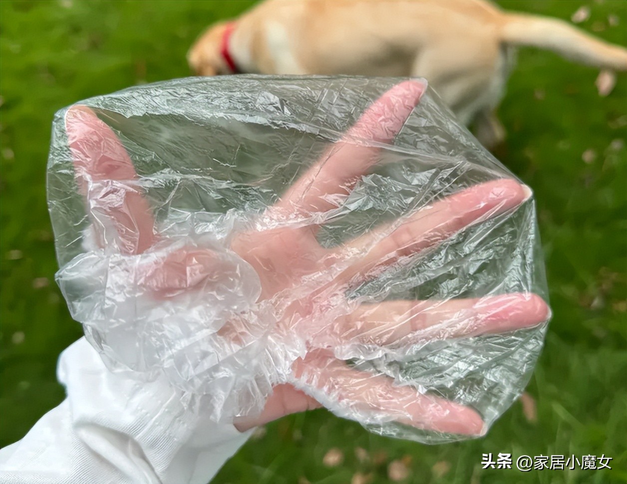 保鲜膜套收纳_保鲜膜瘦肚子正确方法_保鲜膜套妙用