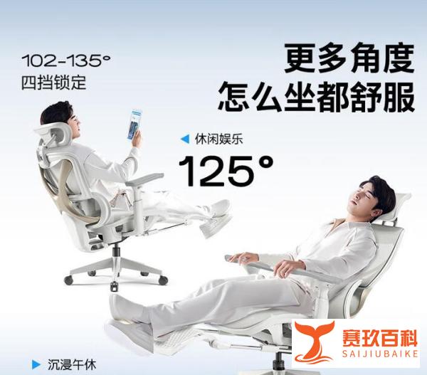 2025年最佳人体工学椅推荐_健身椅哪个牌子好_人体工学椅选购指南