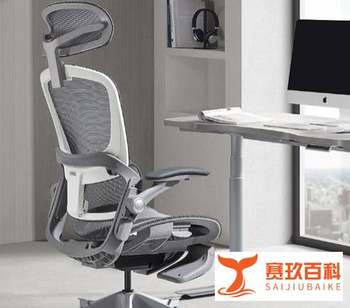 人体工学椅选购指南_健身椅哪个牌子好_2025年最佳人体工学椅推荐