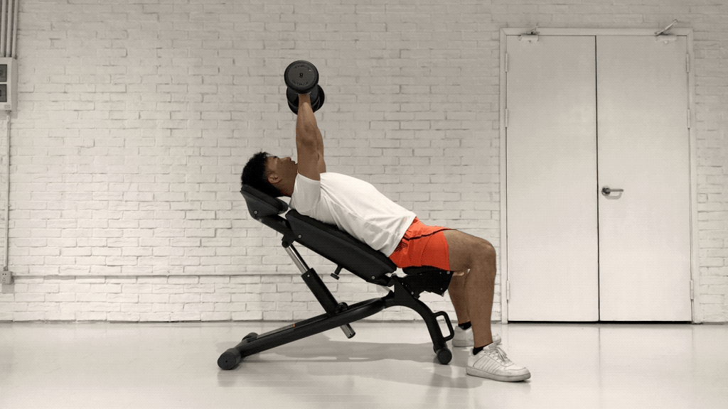 健身椅锻炼方法_中年人肌肉流失对抗 力量训练 黄金动作