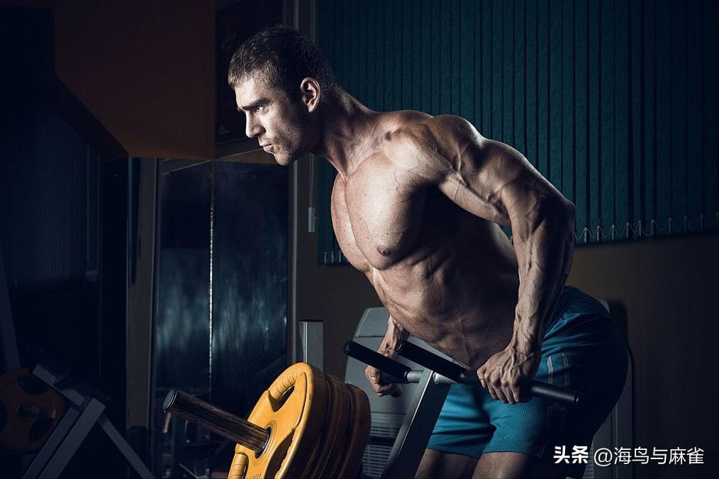 中年人肌肉流失对抗 力量训练 黄金动作_健身椅锻炼方法