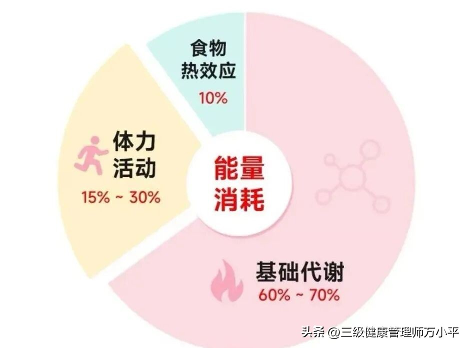 运动减肥效果真相_科学运动减肥指南_运动后胸变小了怎么办