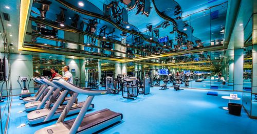 飞鸟训练器练胸肌_大飞鸟综合训练器_飞鸟训练器训练哪个部位