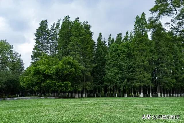 孩子学习效率低怎么办_运动如何提升孩子专注力_智慧教子的八大方法